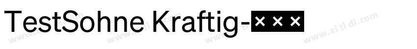TestSohne Kraftig字体转换